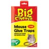 The Big Cheese Glue Trap Mouse  2's