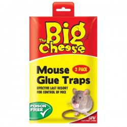 The Big Cheese Glue Trap Mouse  2's