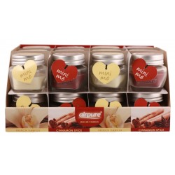Mini Me Warm Selection Candles Assorted